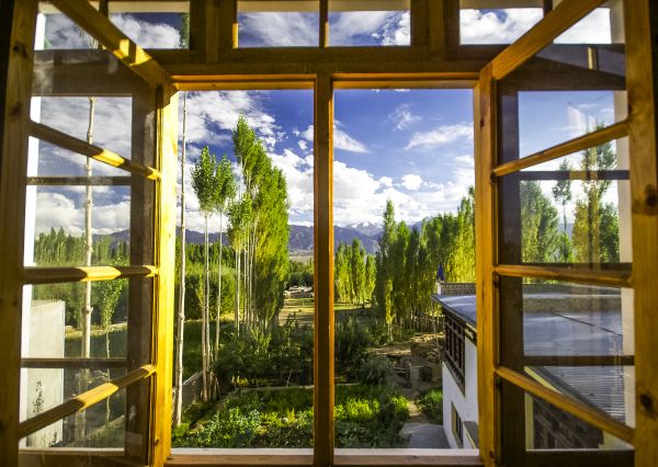 Cost of Wood Window Replacement in Green Bay